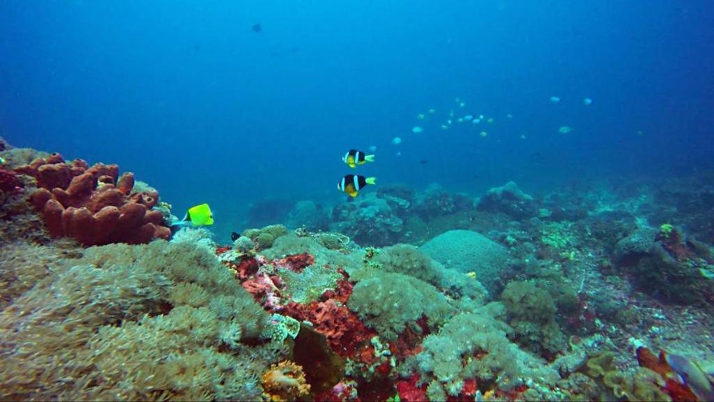 Anugrah Sari Homestay By Wizzela Lembongan Exterior foto